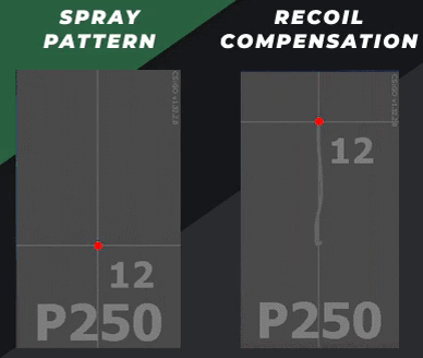 P250 Spray Patterns & Recoil Compensation