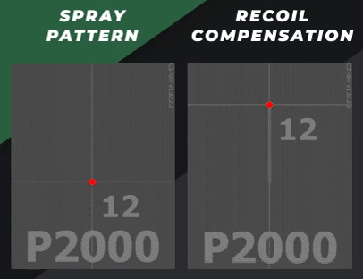P2000 Spray Patterns & Recoil Compensation