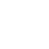 Insilio