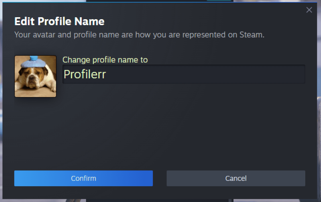 How to Change Name in CS2? | Profilerr