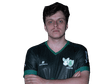 antonini