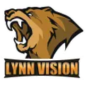 Lynn Vision