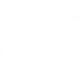 MIBR Academy