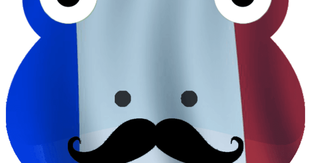 FrenchFrogs CS2 Pro Team: Players, Stats, Earnings, Achievements