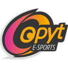 Opyt e-Sports