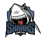 Sharks Youngsters