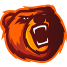 Bears Concept