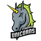 Codewise Unicorns