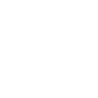 Paper Rex