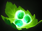 Tango Item for Puck Dota 2
