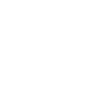 VERTEX