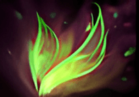 Starting item Faerie Fire for Shadow Fiend