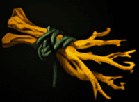 Starting item Iron Branch (2 items) for Shadow Fiend