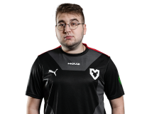 torzsi