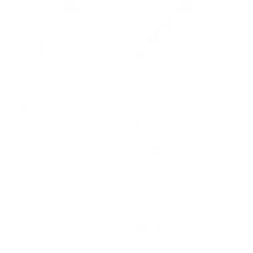 VERTEX
