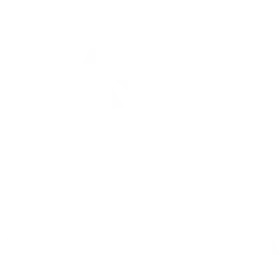 Spirit Academy