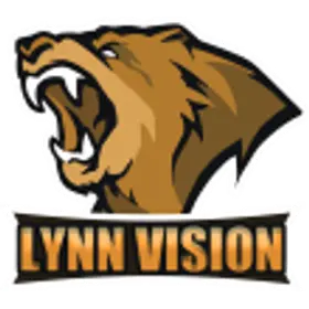 Lynn Vision