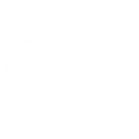 MIBR Academy
