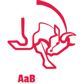 AaB Esport