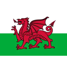 Team Wales