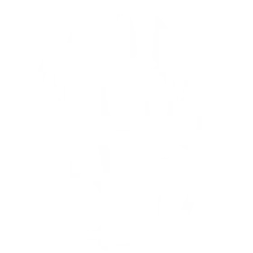 BIG Academy