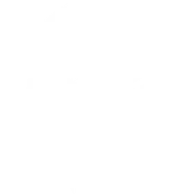 Brute