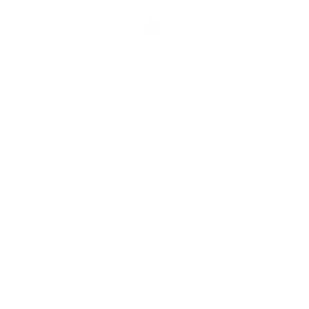 PIXLIP