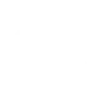 Apeks Rebels