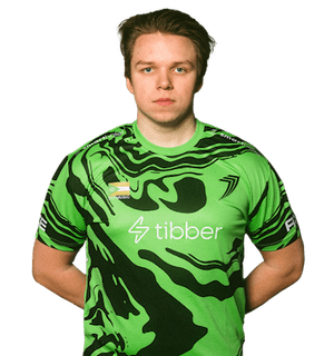 Mikael Gaup