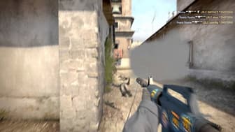 ESWC 2014: flusha vs. LDLC
