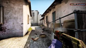 Caseking of the Hill #7: flusha vs. NiP