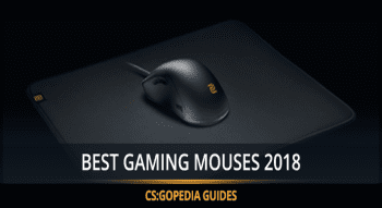 Best mouse models for playing the CS:GO