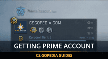 How to Get Prime Status in CS:GO?