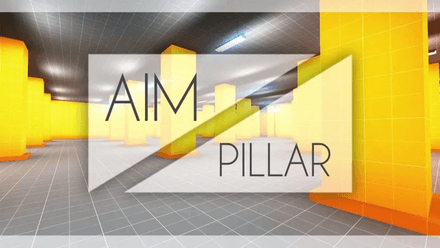 Aim_Pillars