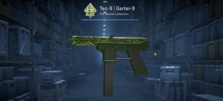 Tec-9 | Garter-9 из коллекции Boreal