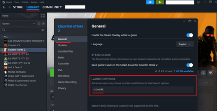 Type -console in the Launch Options field