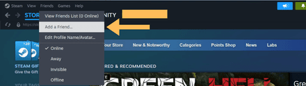 Open the “Friends” tab, and click “Add Friend”