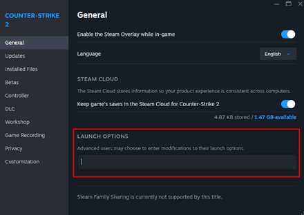 Go to “General” and find “Launch options”