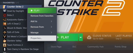 Head over to Steam > Counter-Strike 2 (right-click) > Properties