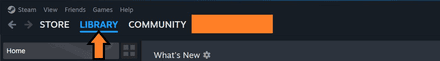 Open your Steam Client and enter the game Library