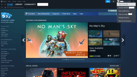 Steam desktop client