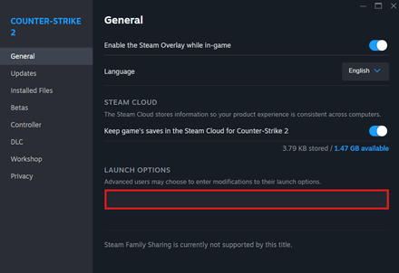 CS2 Launch Options