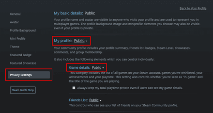 Click on “Privacy Settings” and make sure that both “My profile” and “Game details” are set to Public