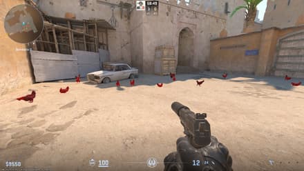 Paint Your Chicken command in CS2