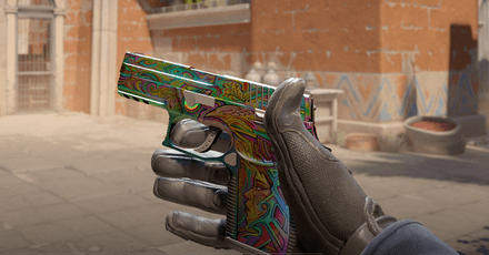 Visions | P250 FN