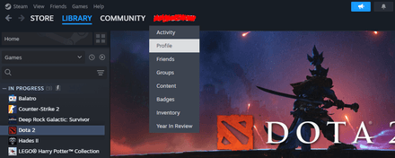 Select Profile in the dropdown menu