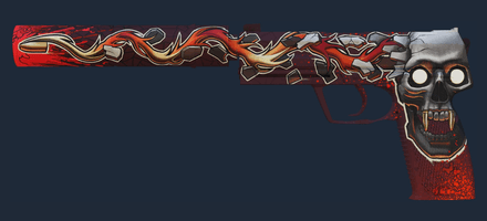 USP-S Kill Confirmed FN