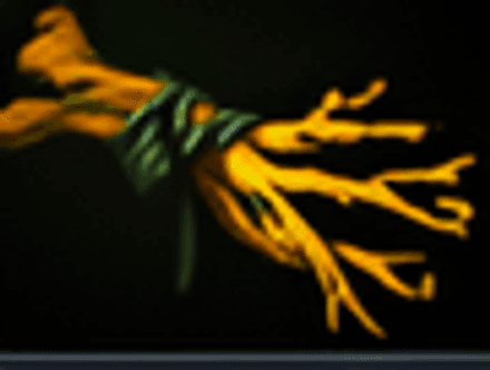 Iron Branch