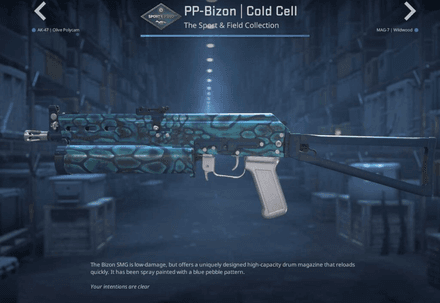 PP-Bizon | Cold Cell