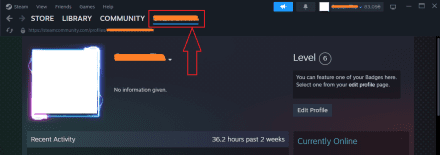 Log in to your Steam account and go to your profile